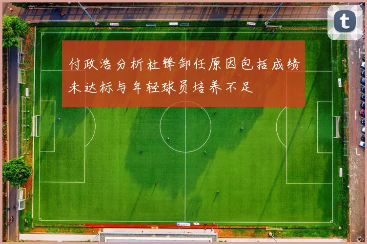 付政浩分析杜锋卸任原因包括成绩未达标与年轻球员培养不足