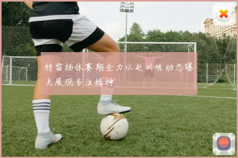 特雷杨休赛期全力以赴训练动态曝光展现专注精神